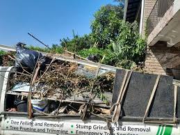 Best Property Management Cleanouts  in Madera Ranchos, CA
