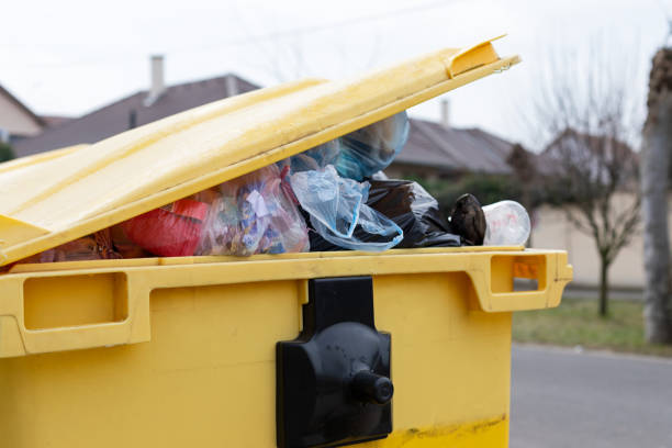Best Moving and Downsizing Cleanouts  in Madera Ranchos, CA